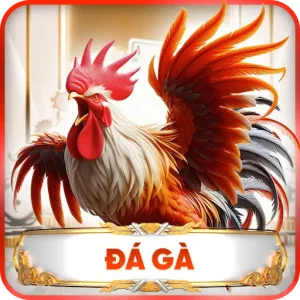 đá gà 88vbet